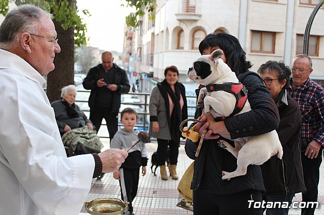 Bendicin de animales San Antn Totana 2020 - 126
