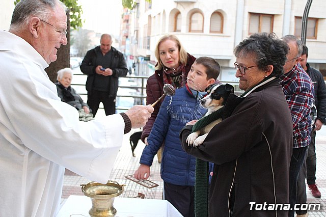 Bendicin de animales San Antn Totana 2020 - 127