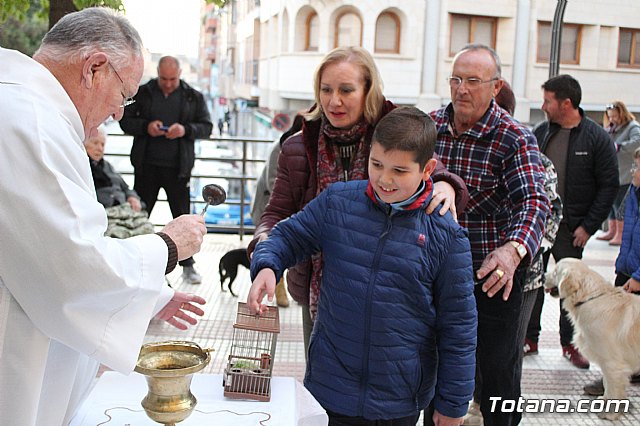 Bendicin de animales San Antn Totana 2020 - 128