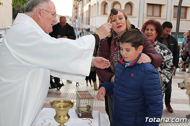 Bendicin de animales San Antn Totana 2020 - 129
