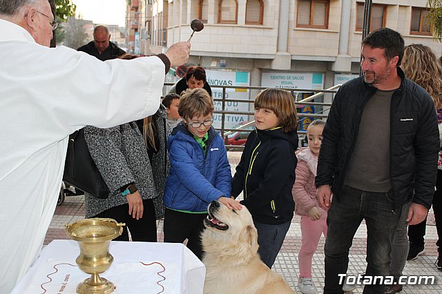 Bendicin de animales San Antn Totana 2020 - 132