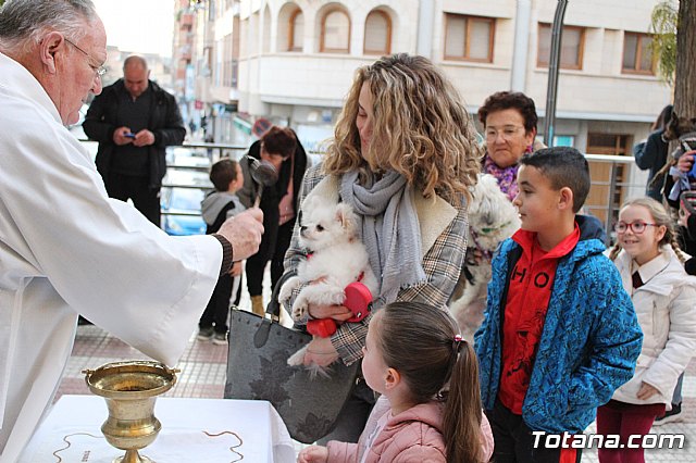 Bendicin de animales San Antn Totana 2020 - 133