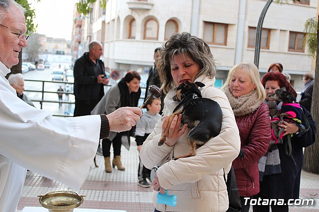 Bendicin de animales San Antn Totana 2020 - 136