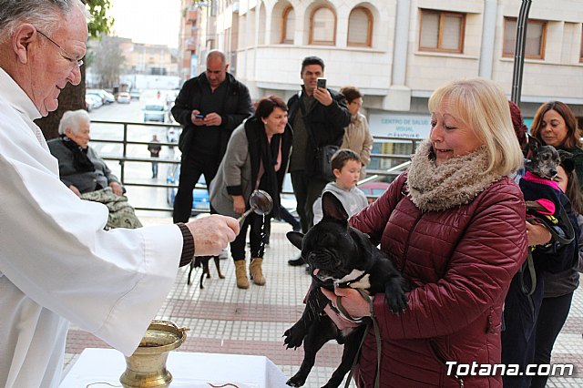 Bendicin de animales San Antn Totana 2020 - 137