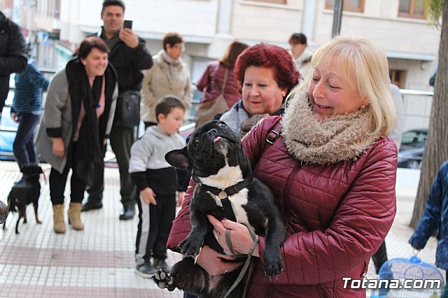 Bendicin de animales San Antn Totana 2020 - 138