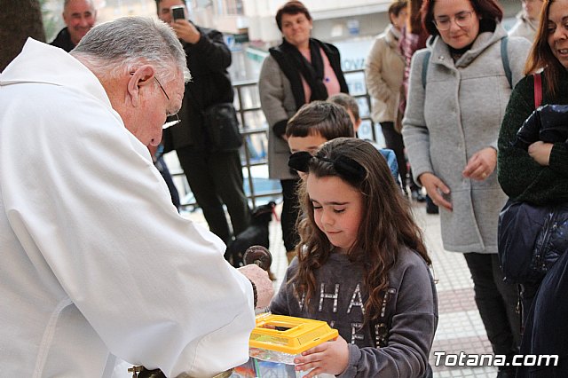 Bendicin de animales San Antn Totana 2020 - 140
