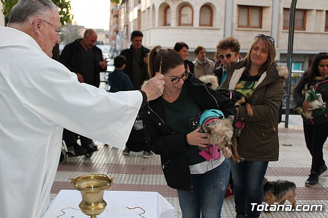 Bendicin de animales San Antn Totana 2020 - 143