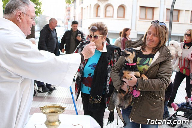 Bendicin de animales San Antn Totana 2020 - 144