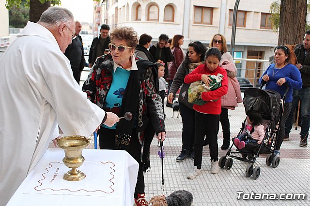 Bendicin de animales San Antn Totana 2020 - 145