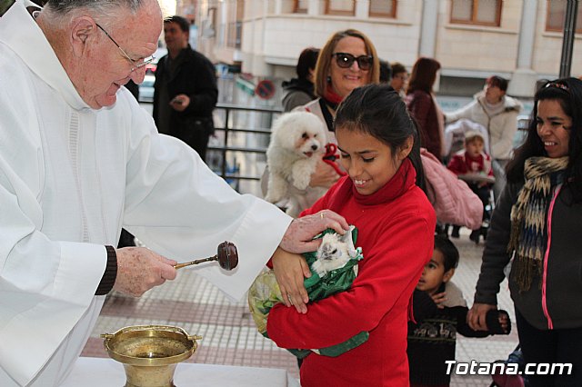 Bendicin de animales San Antn Totana 2020 - 146