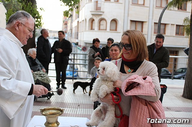 Bendicin de animales San Antn Totana 2020 - 147