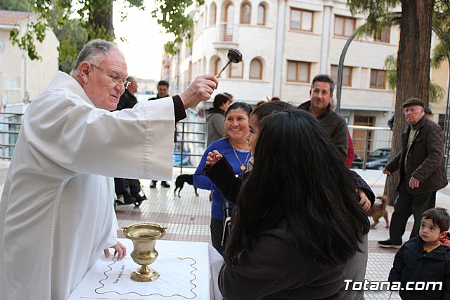 Bendicin de animales San Antn Totana 2020 - 149