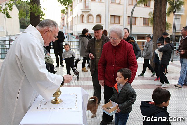 Bendicin de animales San Antn Totana 2020 - 151