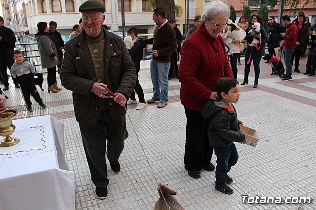 Bendicin de animales San Antn Totana 2020 - 152
