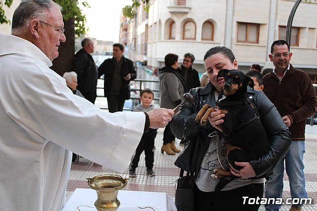 Bendicin de animales San Antn Totana 2020 - 153