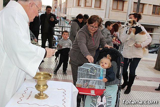 Bendicin de animales San Antn Totana 2020 - 155