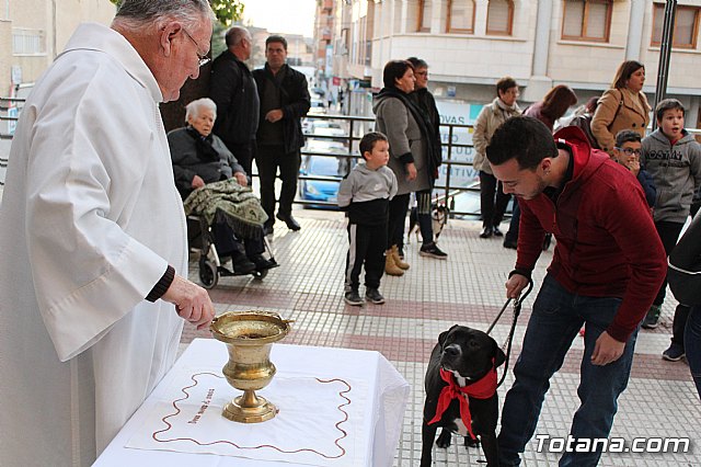 Bendicin de animales San Antn Totana 2020 - 158