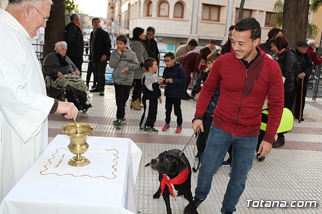 Bendicin de animales San Antn Totana 2020 - 159