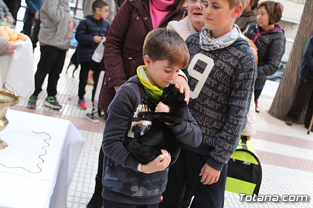 Bendicin de animales San Antn Totana 2020 - 161