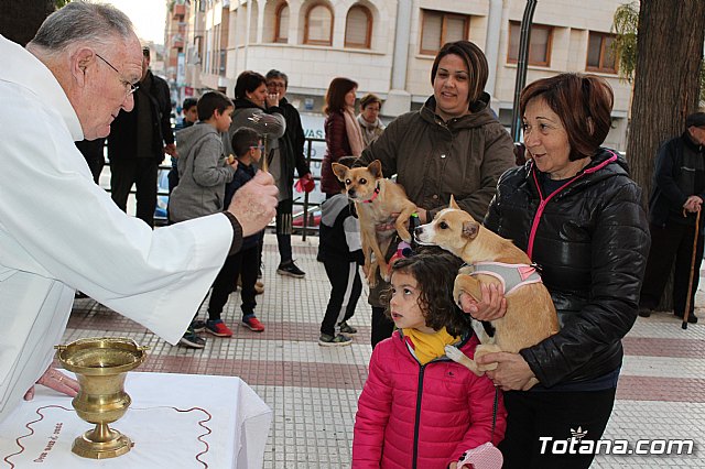 Bendicin de animales San Antn Totana 2020 - 162