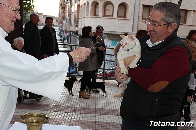 Bendicin de animales San Antn Totana 2020 - 163