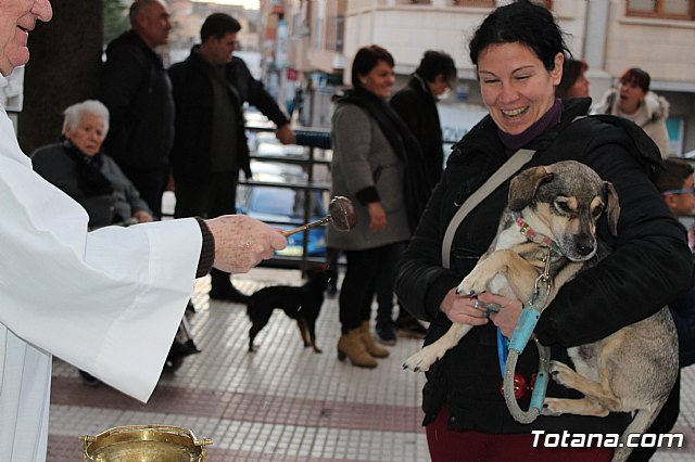 Bendicin de animales San Antn Totana 2020 - 165