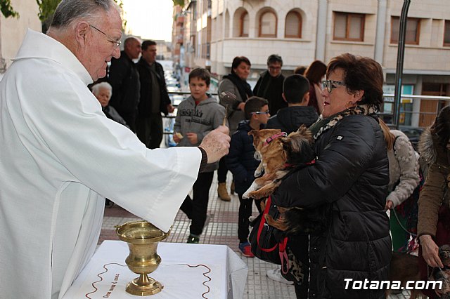 Bendicin de animales San Antn Totana 2020 - 166