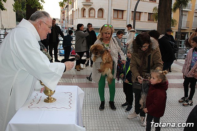 Bendicin de animales San Antn Totana 2020 - 167
