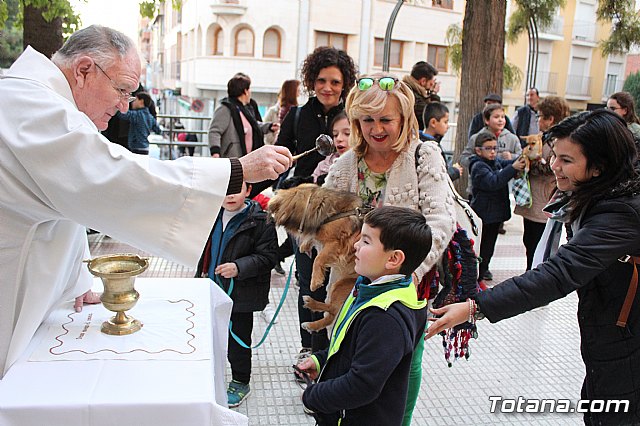 Bendicin de animales San Antn Totana 2020 - 169