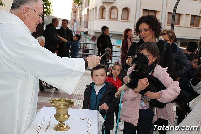 Bendicin de animales San Antn Totana 2020 - 170