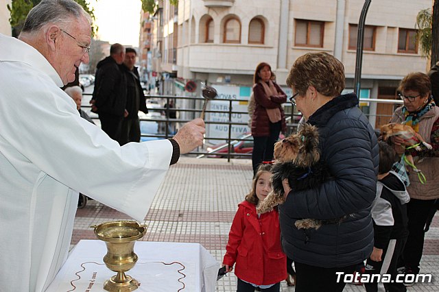 Bendicin de animales San Antn Totana 2020 - 171