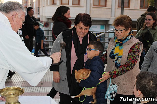 Bendicin de animales San Antn Totana 2020 - 173