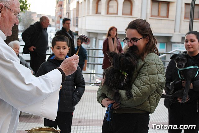 Bendicin de animales San Antn Totana 2020 - 174