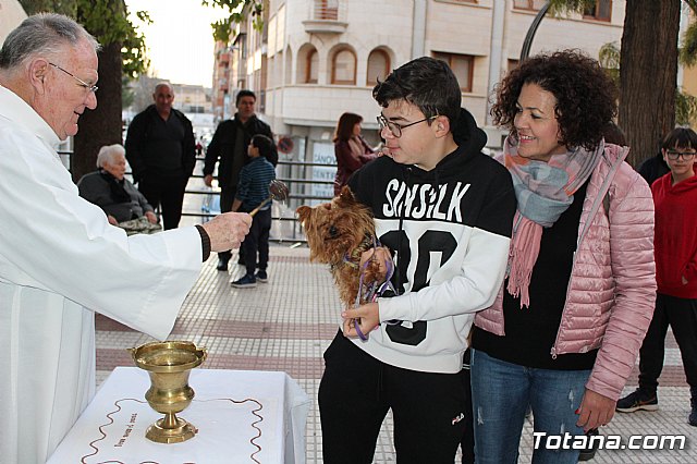 Bendicin de animales San Antn Totana 2020 - 177