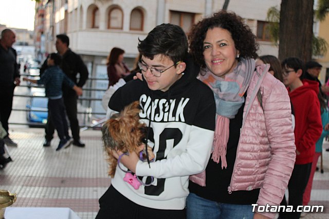 Bendicin de animales San Antn Totana 2020 - 178