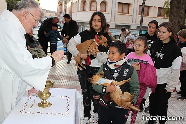 Bendicin de animales San Antn Totana 2020 - 179