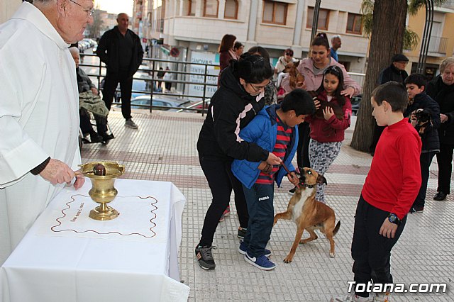 Bendicin de animales San Antn Totana 2020 - 182
