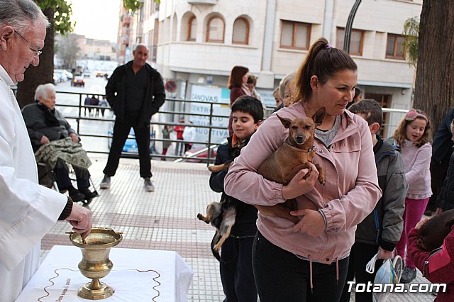 Bendicin de animales San Antn Totana 2020 - 184