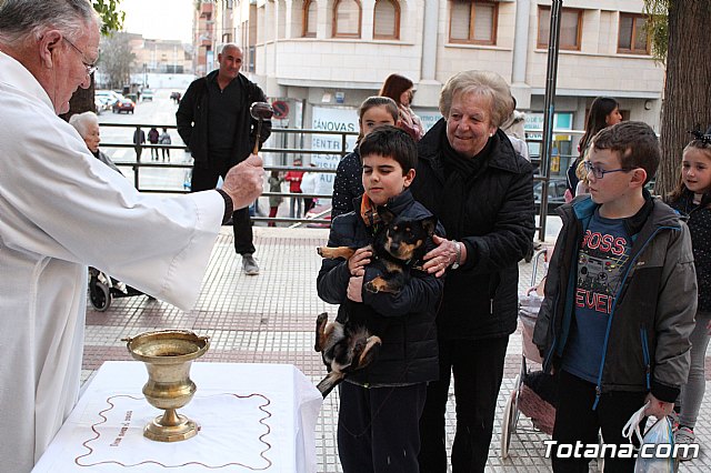 Bendicin de animales San Antn Totana 2020 - 185