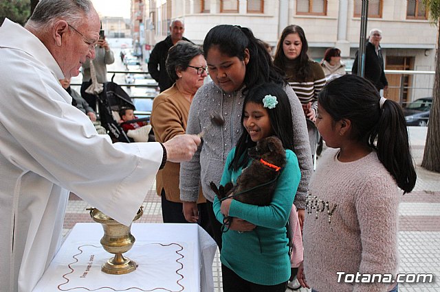 Bendicin de animales San Antn Totana 2020 - 189