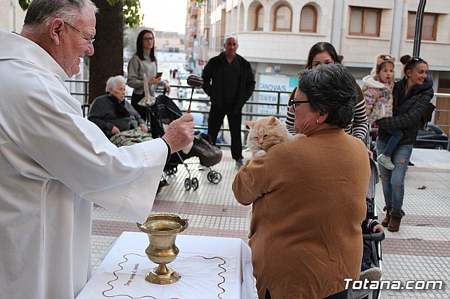 Bendicin de animales San Antn Totana 2020 - 190