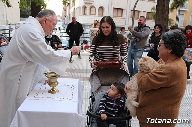 Bendicin de animales San Antn Totana 2020 - 191