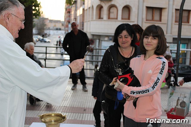 Bendicin de animales San Antn Totana 2020 - 194