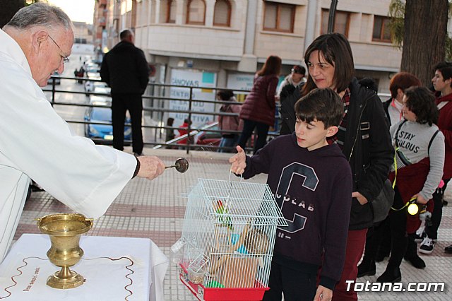 Bendicin de animales San Antn Totana 2020 - 196