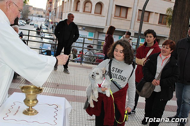 Bendicin de animales San Antn Totana 2020 - 197