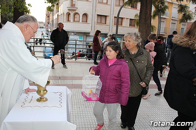 Bendicin de animales San Antn Totana 2020 - 199