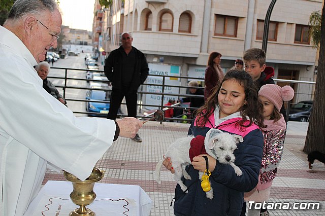 Bendicin de animales San Antn Totana 2020 - 200