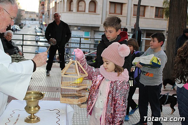 Bendicin de animales San Antn Totana 2020 - 201
