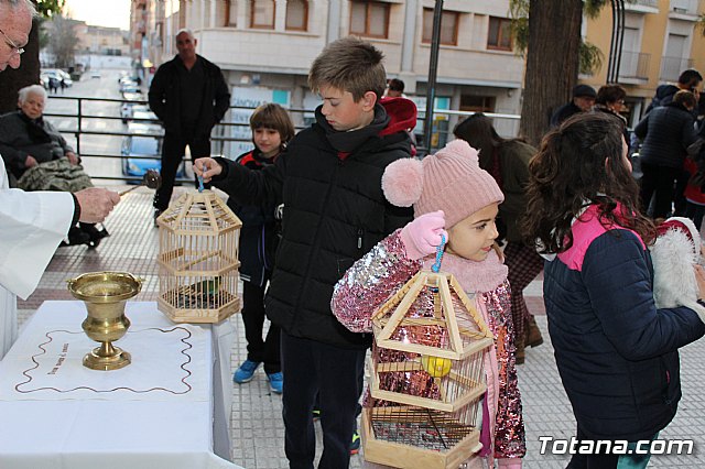 Bendicin de animales San Antn Totana 2020 - 202