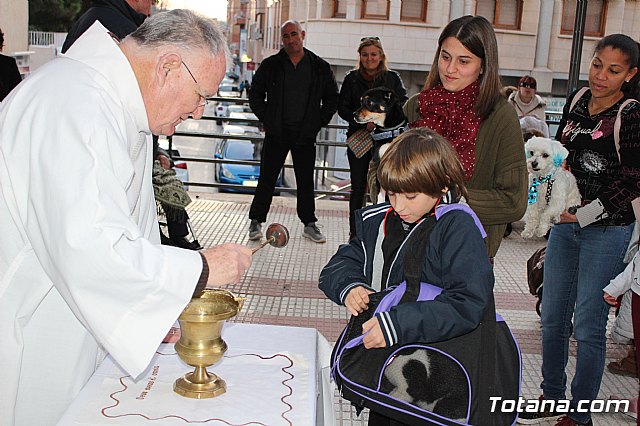 Bendicin de animales San Antn Totana 2020 - 204